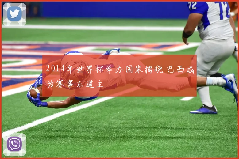 2014年世界杯举办国家揭晓 巴西成为赛事东道主